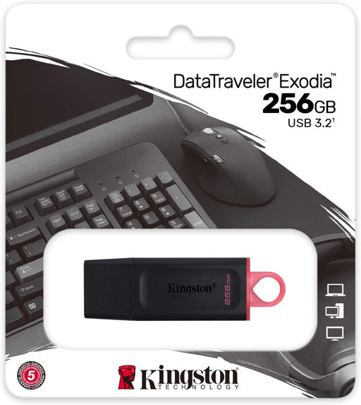 Kingston Pendrive USB-A 3.2 256GB DTX/64GB Chiavetta USB 256 Gigabyte Accessori PC